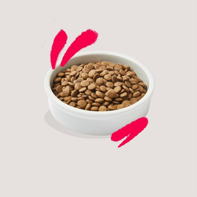 Edgard & Cooper senior chicken turkey cat dry food 2kg - British product