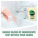 Radox Anti Bac Nourishing Liquid Hand Wash 250ml, imported from the UK