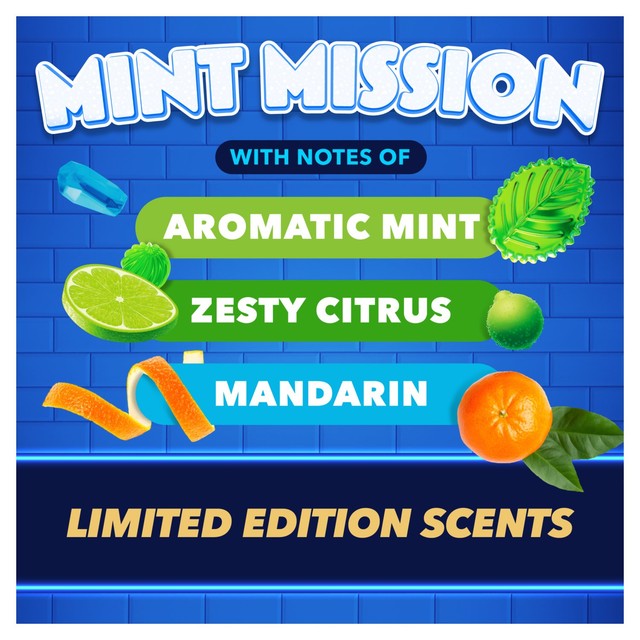 Toilet Duck toilet cleaner gel Mint Mission (British brand)