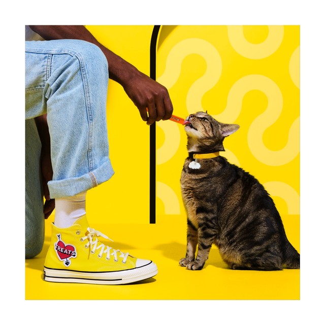 Dreamies cat treats party pack (British brand)
