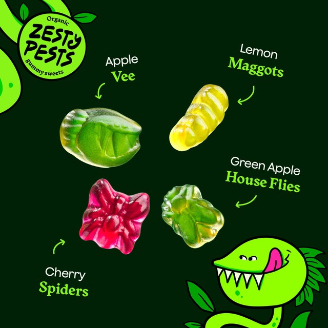 Wild Thingz Zesty Pests organic gummy sweets 130g (British brand)