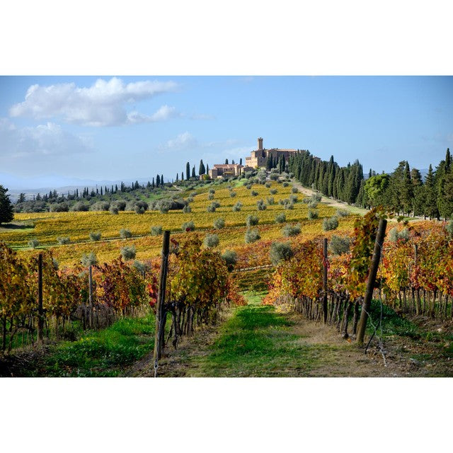 Castello Banfi Rosso di Montalcino red wine 75cl - British product