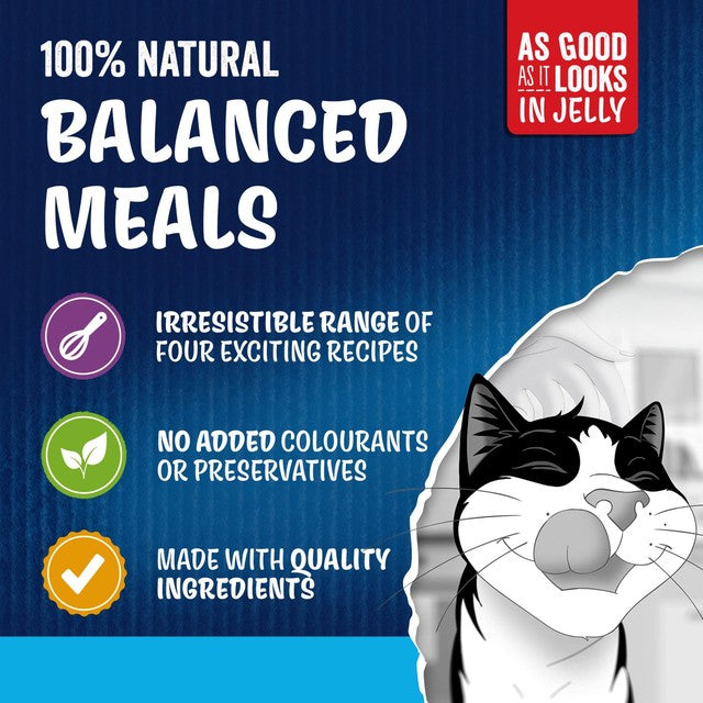 Felix senior cat food fish in jelly pouches - British product