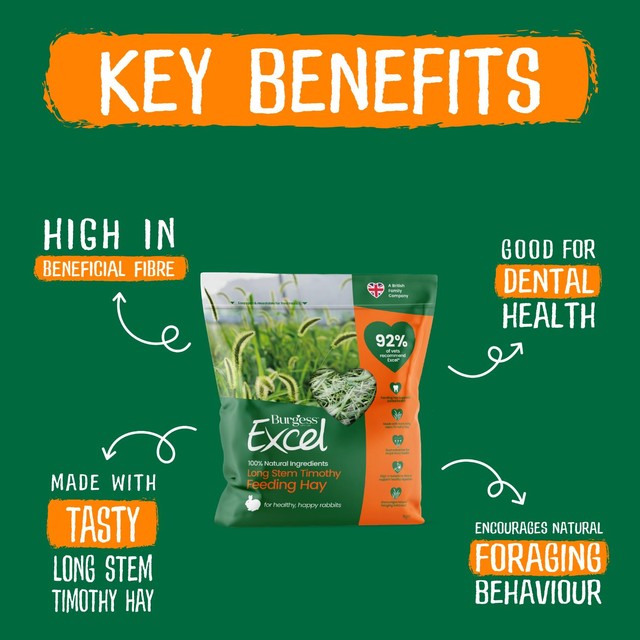 Burgess long stem feeding hay 1kg - British product