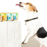 Edgard & Cooper wet dog food with organic fish - British product