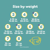 Pampers Baby-Dry Nappies Size 8 (17kg+) Essential Pack (British brand)