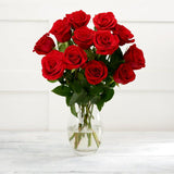 Sainsburys Premium Red Freedom Roses Bouquet dummy