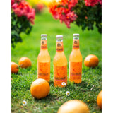 Clausthaler grapefruit radler alcohol-free beer 330ml - British product