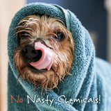 Little Beast Organic Scruffy Dog Shampoo Bar 100g, UK version