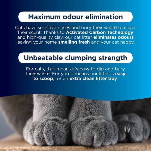 Ever Clean senior cat litter 10L - British product