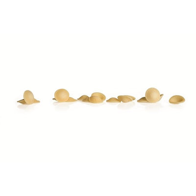 Pâtes sèches Orecchiette Garofalo 500g