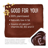 Alpro Dark Chocolate Soya Dessert 4 x 125g - British product