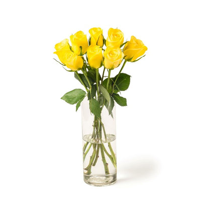 MM Flowers Gule Roser Ferske Kutt Blomster 8 Stilk 40cm