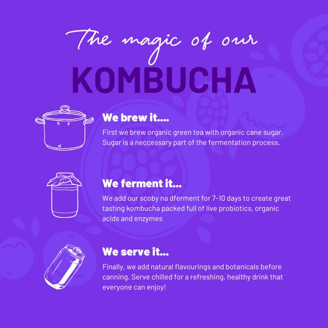 One Living Passionfruit Sugar Free Kombucha 4x250ml, imported from the UK