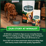 Winalot adult salmon dry dog food (British brand)