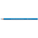 Bic Kids Tropicolors colouring pencils 24 pack - British product