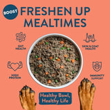 Boost Pet Meat Feast complete dog meal (British brand)