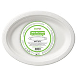 Duni Bio white microwaveable buffet platters 3 per pack (British brand)
