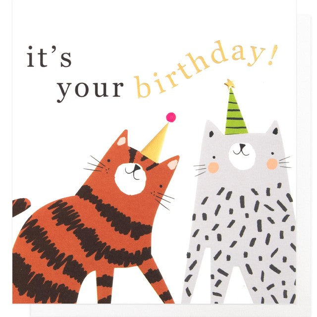 Caroline Gardner cats birthday greeting card 14.5x14 cm - British product