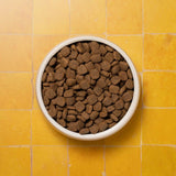 Pooch & Mutt grain-free dog food 1.5kg, imported from the UK