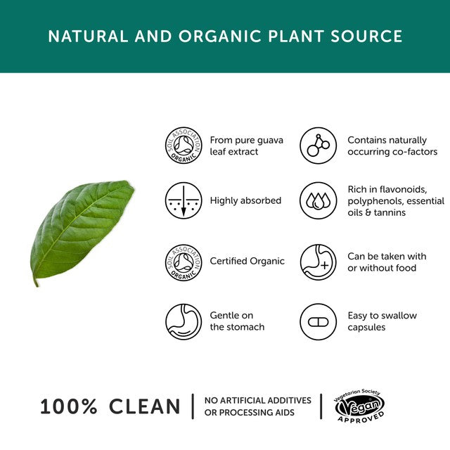 Together Health organic zinc natural source capsules 30 pack (British brand)