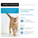 Pro Plan cat food sterilised 10 x 85g, imported from the UK