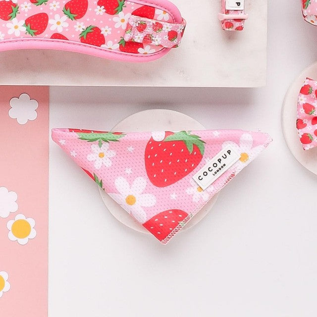 Cocopup Pupberry Fields Dog Bandana Set 10cm x 7cm - British product