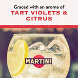 Martini Extra Dry Wermut 75cl, importiert aus Großbritannien