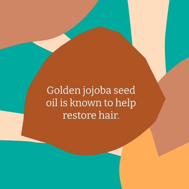 Faith in Nature Jojoba Conditioner 400ml - British product