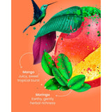 Good Earth Tropical Moringa Mango tea bags 15 count, UK version