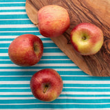 Ocado Royal Gala apples 6 per pack, imported from the UK