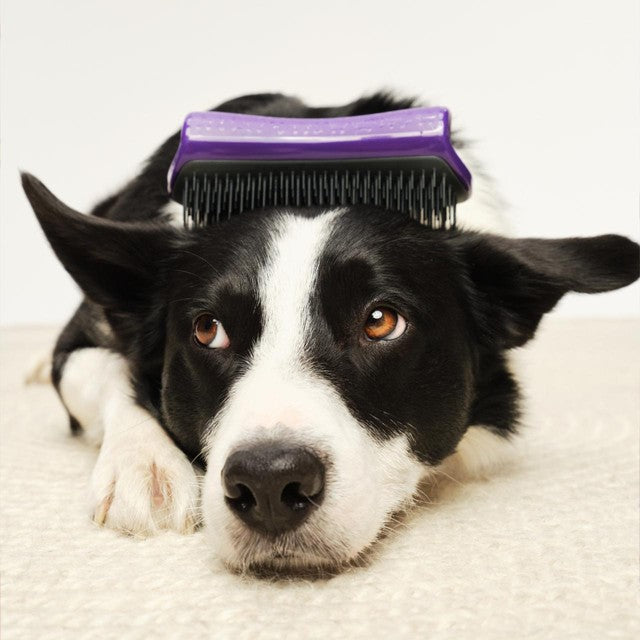 Tangle Teezer Pet De-Shedding Brush, imported from the UK