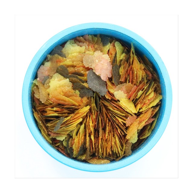 Aquarian tropical fish food flakes 25g - British product