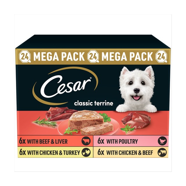 Cesar wet dog food trays mixed selection 24 x 150g - British product