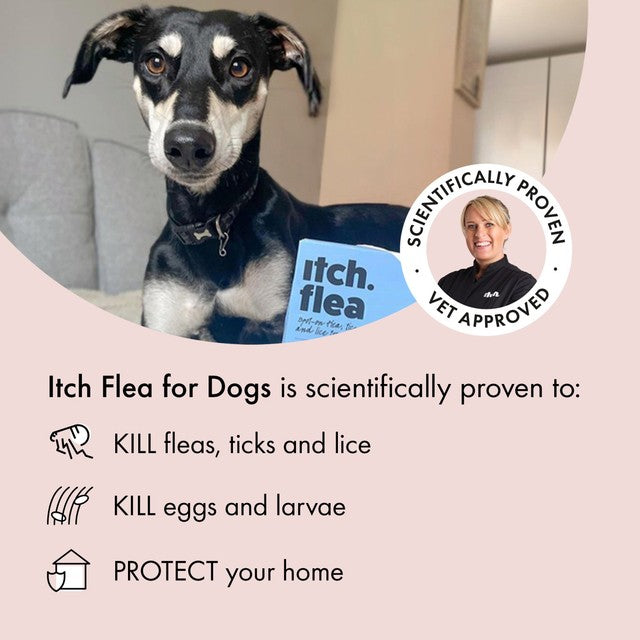 Itch flea spot-on treatment for large dogs 20-40kg, UK version