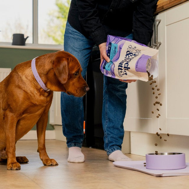 Pooch & Mutt health & digestion dry dog food 2kg, imported from the UK