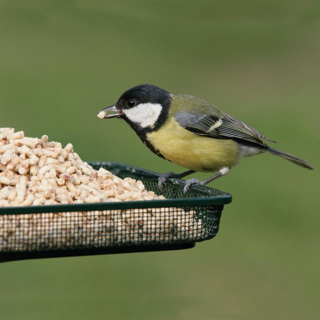 RSPB High Energy Suet Sprinkles 1500g, imported from the UK