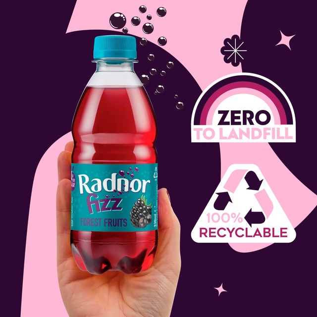 Radnor Fizz Forest Fruits flavoured sparkling soft drink 4 x 330ml, imported from the UK