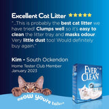 Ever Clean Extra Strong Unscented Clumping Cat Litter 10L - British product