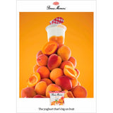 Bonne Maman apricot yoghurt 4 x 115g - British product