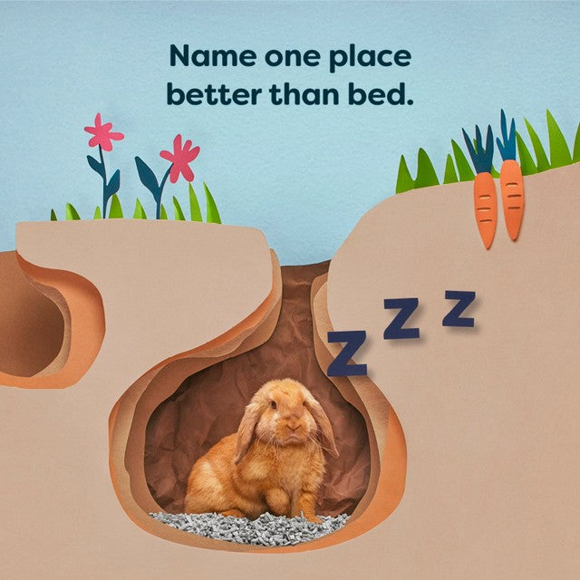 Back to Nature small animal paper bedding 20L - British product