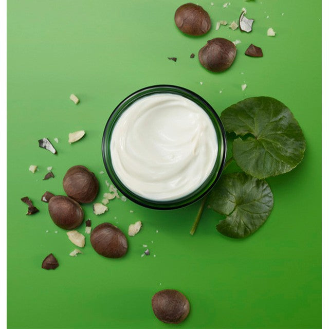 Weleda Skin Food Night Face Cream 40ml (British brand)