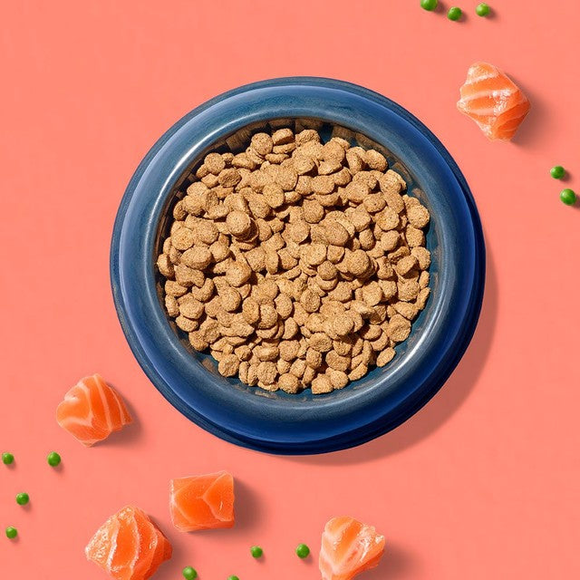Tails.com Salmon Dog Food 2kg (British brand)