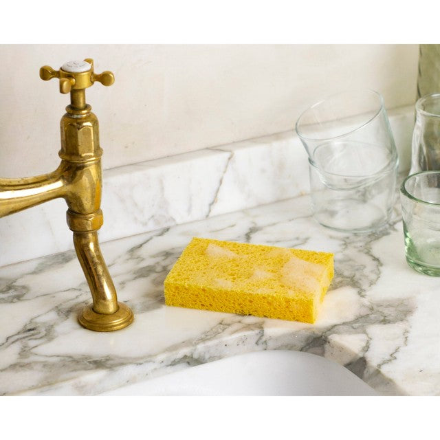 Wilton London eco plastic-free sponge twin pack (British brand)