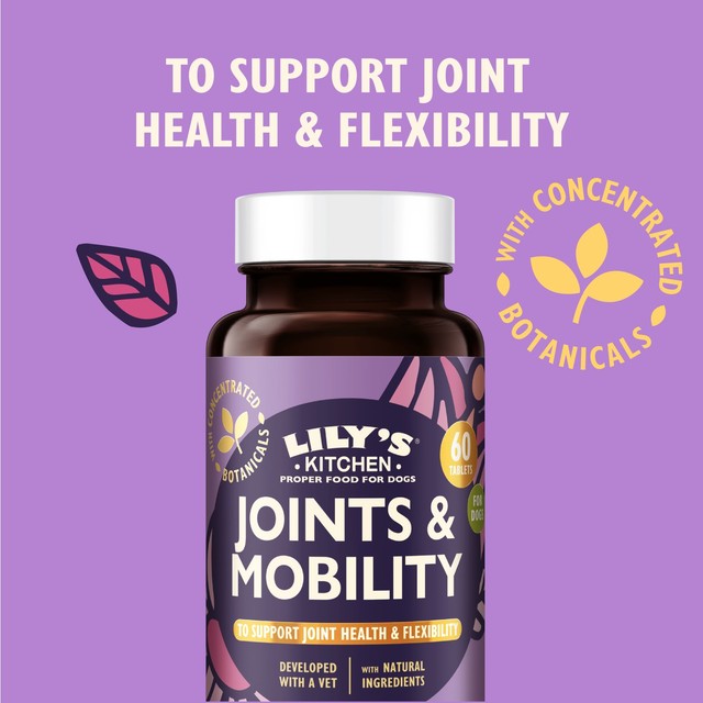 Lily's Kitchen joint supplement 60 tablets, imported from the UK