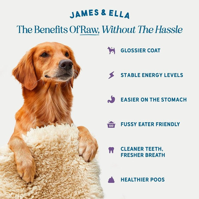 James & Ella freeze dried country game dog treats 40g, UK version