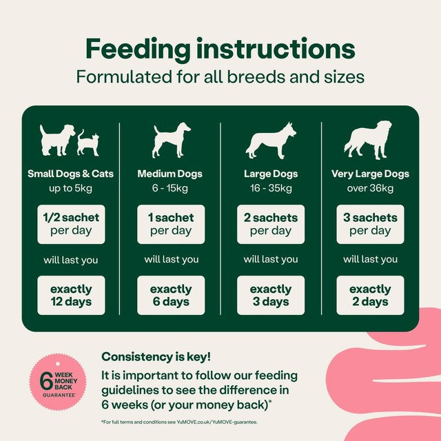 YuMOVE digestive rapid powder for dogs and cats, UK version