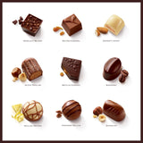 Thorntons Continental Collection Pralinenschachtel 264g (britische Marke)