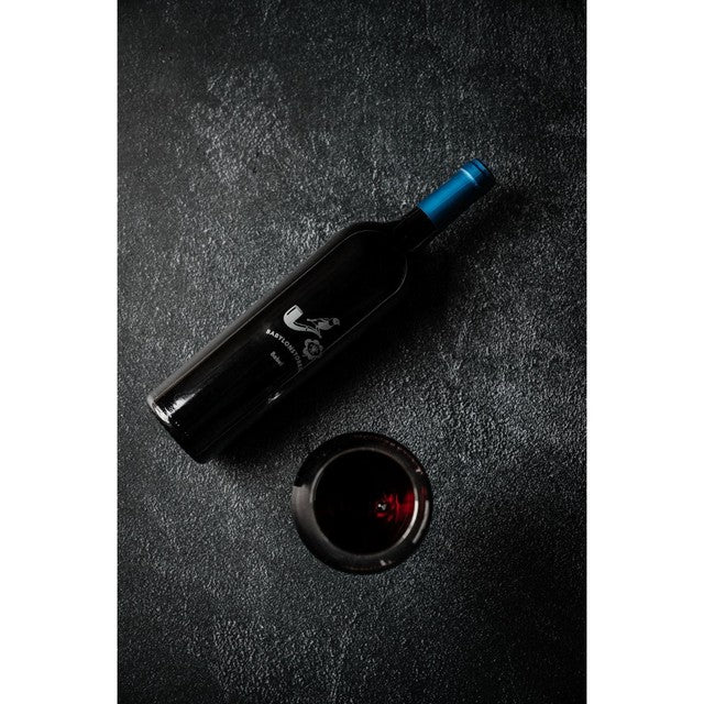Babylonstoren Babel Red Blend 75cl - British product