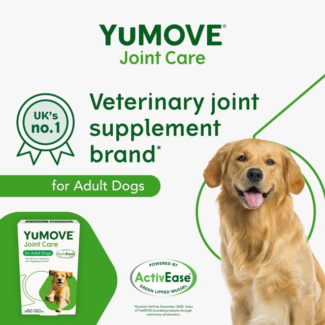 YuMOVE joint support tablets for adult dogs (British brand)